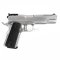 AW Custom 1911-A1 V12 NE1201 Silver