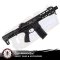 G&G ARP 556 2.0 EGC-556-V02-BNB-NCM (2025)