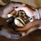 lukwago isaac