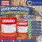 สีหยุดสนิม รัสวัน-Rust-One จากชุโกกุ