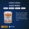 สีน้ำมัน การ์เด็กซ์ GARDEX PREMIUM
