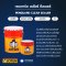 Penguard Clear Sealer