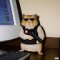 Deputy Seo Manager
