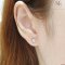 Drop Diamond Earrings