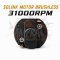 SOLINK MOTOR BRUSHLESS 31000RPM