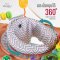 CAMERA | รถหัดเดิน WAJU by HOOV | Baby Jumper & Walker 2-in-1 รถหัดเดินเสริมพัฒนาการ ปรับใช้งานได้