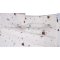 เตียงไม้เด็ก Zleep Cot White เตียงเด็ก 817-818 ฟังก์ชั่นครบ ยี่ห้อ CAMERA