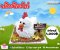 เค้กน้องไก่
