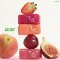 4U2 FRUITY TINT