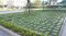 บล็อกหญ้า (ขนาดใหญ่) Grass Block-Large