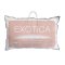 EXOTICA Touch Down Pillow