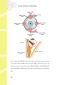 Ophthalmology: The survival guide จักษุวิทยาสำหรับแพทย์เวชปฏิบัติ