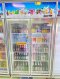 ตู้แช่เย็น 2 ประตู 26.9 คิว SANDEN รุ่น YEM-1105i