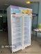 ตู้แช่เย็น 2 ประตู Sanden รุ่น YPC-1100 สีขาว