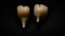 Zirconia Crown