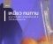 ถุงหูหิ้ว พลาสติก HDPE ดาวปีกม่วง เกรด A บางเหนียวพิเศษ 0.5 กก. (มีทุกขนาด)