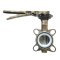 Butterfly Valve Stainless Seat PTFE Disc Stainless CF8M