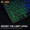 Keyboard Gaming E-Sport Neolution AGIS