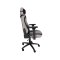 Neolution GAMING CHAIR (เก้าอี้เกมมิ่ง) E-Sport Premium Exorcist