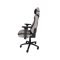 Neolution GAMING CHAIR (เก้าอี้เกมมิ่ง) E-Sport Premium Exorcist