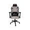 Neolution GAMING CHAIR (เก้าอี้เกมมิ่ง) E-Sport Premium Exorcist