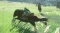 เกม Nintendo Switch : The Legend of Zelda  Breath of the Wild