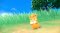 แผ่นเกม Pokémon Scarlet และ Pokémon Violet