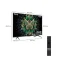 TCL Premium QD-Mini LED Google TV 4K 144Hz รุ่น 65C6K สมาร์ททีวีขนาด 65 นิ้ว
