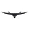 Acer Nitro Gaming XZ320Q W0bmiiphx (UM.JX0ST.001)