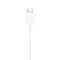 Apple EarPods (USB-C)