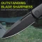 CIVIVI Caetus Flipper Knife Micarta Handle (3.48" 14C28N Blade) C21025C-2