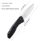 CIVIVI Baklash Flipper Knife Wood Handle (3.5'' 9Cr18MoV Blade) C801E