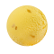 Namdokmai Mango Sorbet