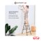 BARCO บันไดอลูมิเนียมมีราวจับ 4 ขั้น สีแชมเปญ 0.97 เมตร รับได้ 150 กิโลกรัม