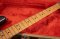 Fender Signature Eric Clapton 1995 Pewter ( Anniversary 50th )