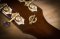 Gibson J-45 Pure Voice A3 Custom Shop Limited Edition 2012