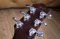 Guild D-4 NT 1991