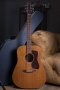 Guild D-4 NT 1991
