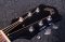 Guild D-25 Dark Blue ( 2000-2004 )