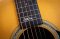 Martin OMJM Signature John Meyer 2017
