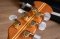 Ovation 1719 Custom Legend 1992