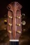 Ovation Adamas 1587E