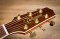 Takamine TDP-531K CN KOA ( New Product )