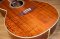Takamine TDP-531K CN KOA ( New Product )