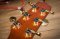 Takamine TDP-531K CN KOA ( New Product )
