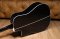 Takamine EF341CS