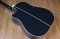 Takamine Limited Edition 2021 Blue Rose