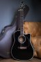 Takamine EF341CS