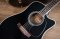 Takamine EF341CS