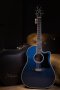 Takamine Limited Edition 2021 Blue Rose